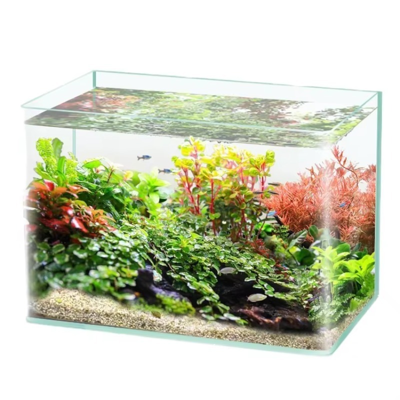 Saltwater Tank - ボックス梱包デスクトップ水槽ウルトラホワイトクリア曲面ガラス生態系5:1海水魚水槽