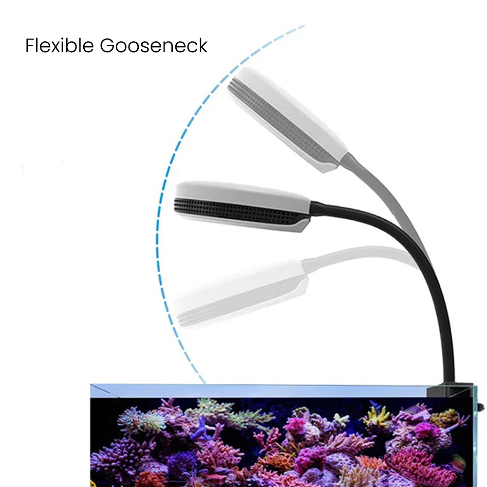 スペクトラSP20 20W水槽用LEDライト フルスペクトル - Reef Lighting のレビューと価格