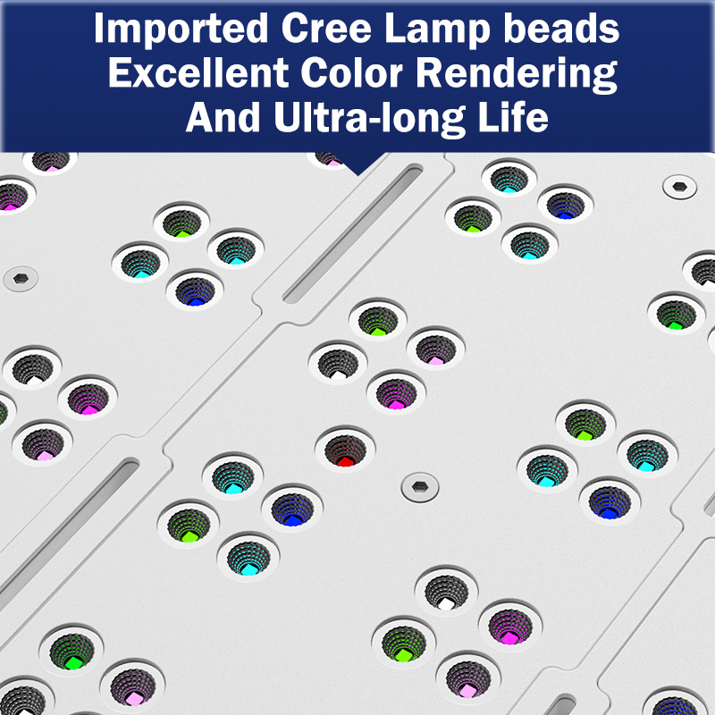 ホットKASSRAY T169/T215 CREEs LED - Marine Aquarium のレビューと価格