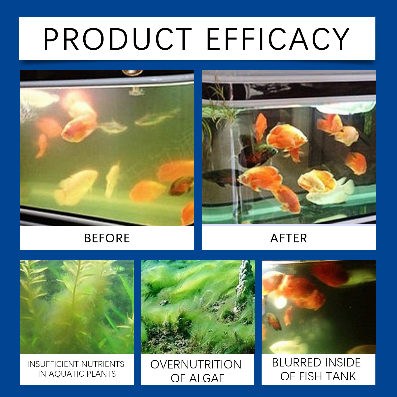 水族館の水精製器 100 ミリリットル淡水海水水槽クリーナー - Saltwater Tank のレビューと価格