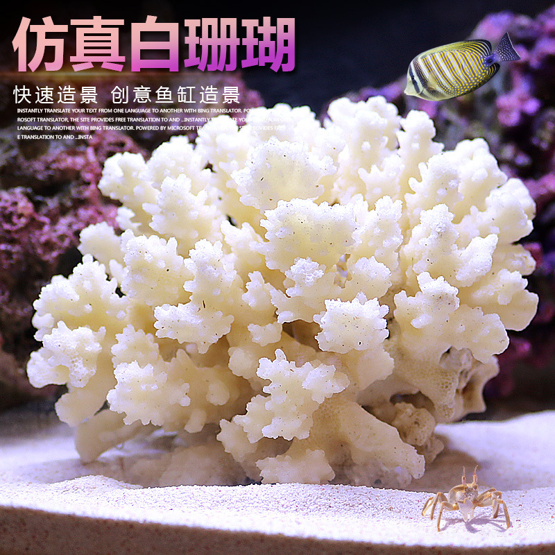 小型水槽用サンゴの木造園セット人工岩飾り水生植物装飾海洋水槽 - Marine Aquarium Epoxy のレビューと価格