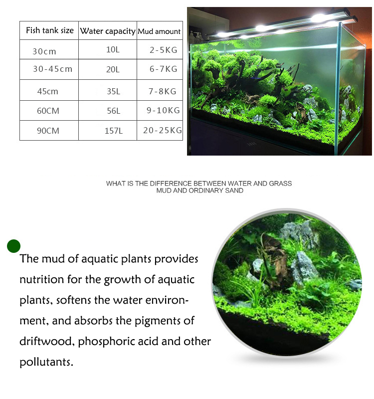 水族館植物の種子,水槽の素材,砂,土壌肥料,魚の手入れ,淡水 - Ocean Aquarium のレビューと価格