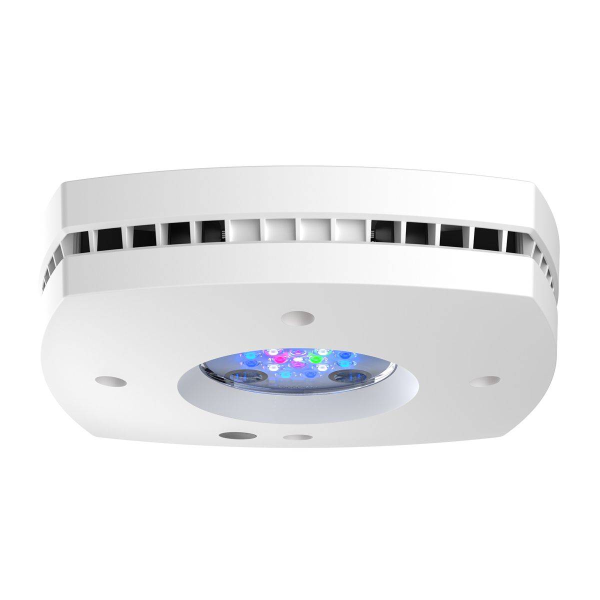 Prime 16 HD LED リーフライト、オリジナルブラ - Reef Lighting のレビューと価格