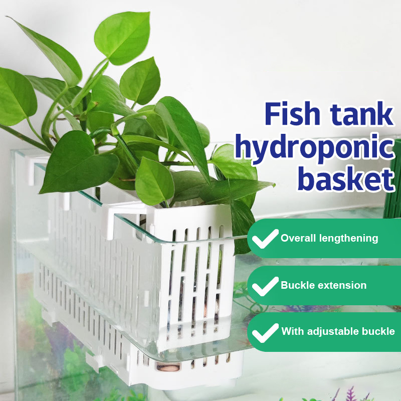【F】水槽用吊り下げプランター、水生植物ホルダー、耐熱性、水 - Marine Aquarium のレビューと価格